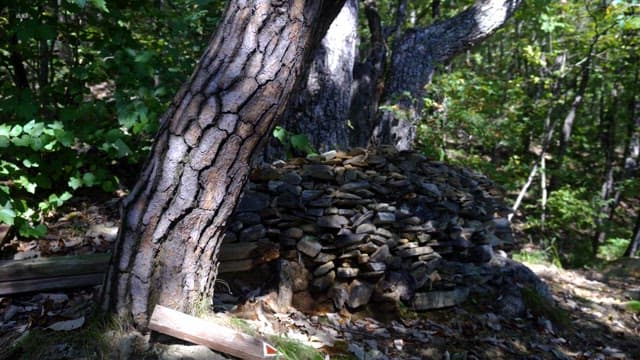 Sunlit pile of stones in the forest