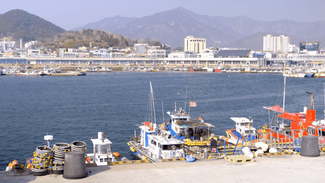 배와 건물이 있는 고요한 항구