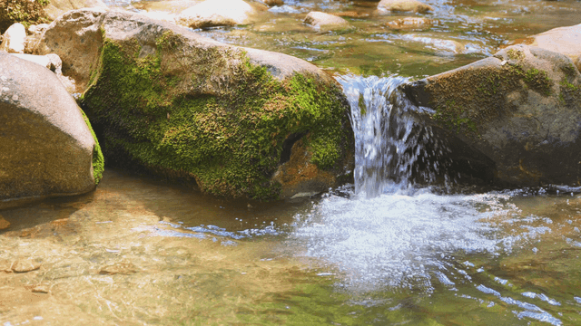 Clear water flowing over mossy rocks