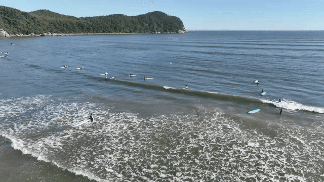 Surfers enjoying the waves at a beach