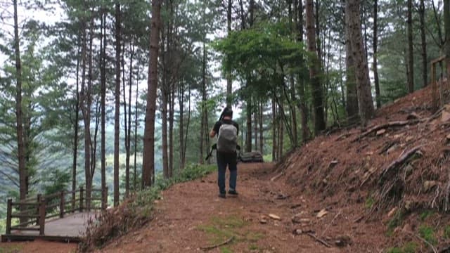 Person Hiking Through a Forested Trail with Backpack