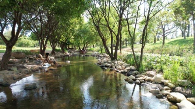 고요한 강가의 순간