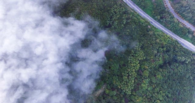 고속도로가 있는 숲의 전경