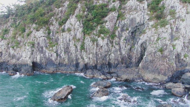 Rocky cliff with lush greenery by the sea