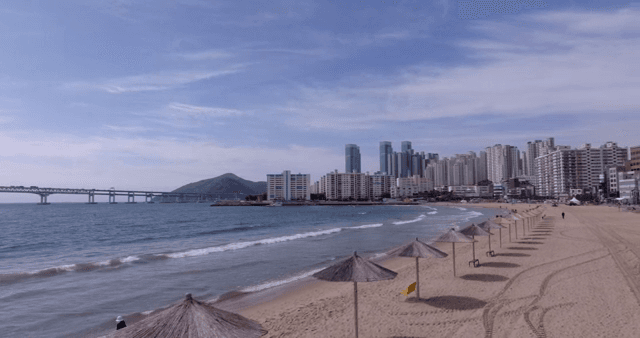 도시 스카이라인과 다리가 있는 해변