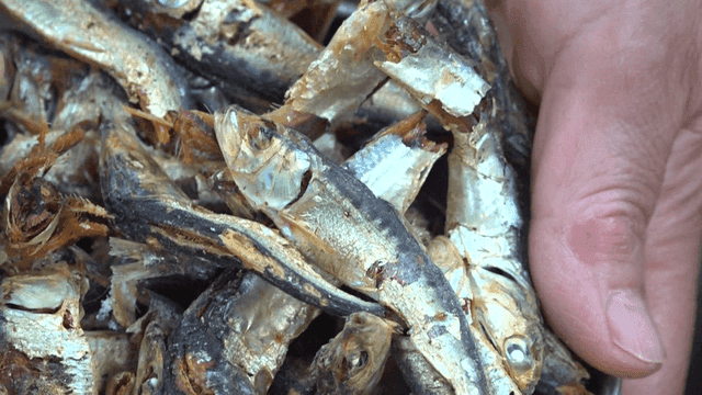 dried anchovies held in hands