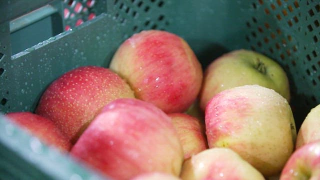 Fresh apples in a green crate with water droplets