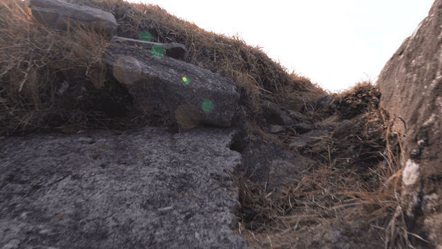 Dry grass and rocks illuminated by sunlight