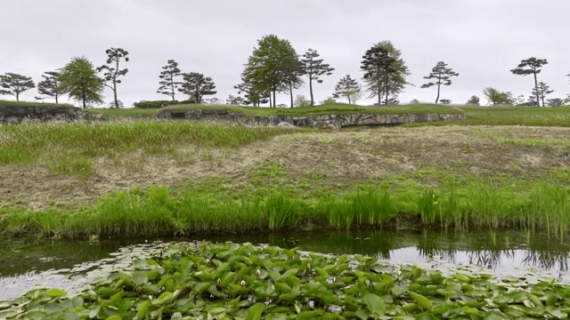 푸른 초목으로 둘러싸인 고요한 연못