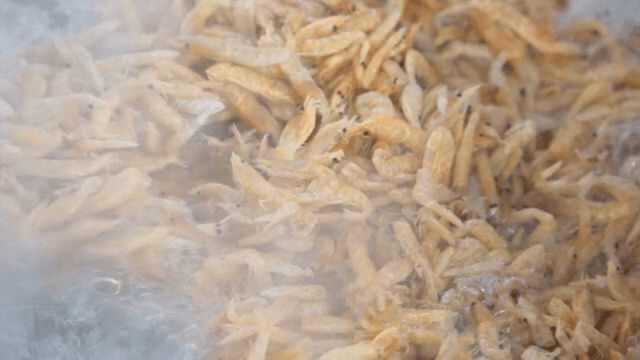 끓는 물에 있는 건새우