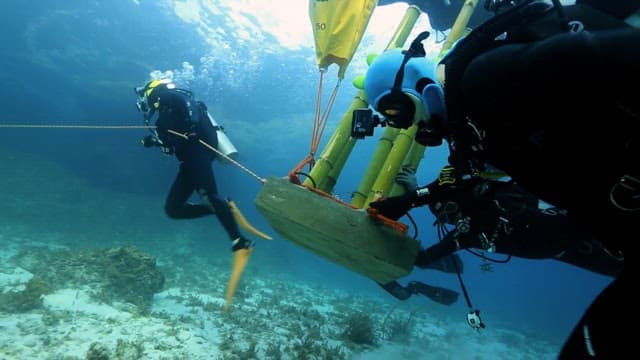 Scuba divers moving equipment underwater near coral