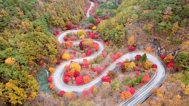 Winding road through colorful autumn forest