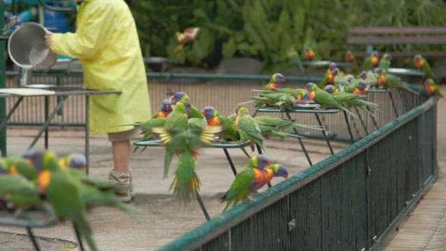 Person feeding a parrot in a sanctuary