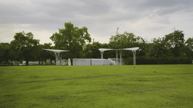 Wide lawn with magpies and shade canopies