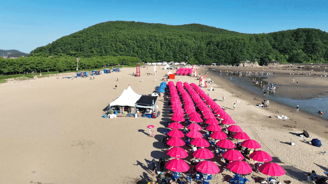 Vibrant sandy beach with colorful parasols