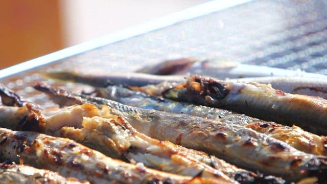 Saury grilled to a golden brown on an outdoor grill