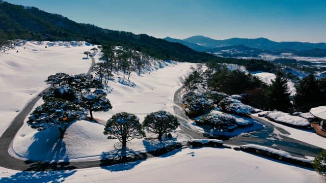 Aerial View of Snow-Covered Landscape with Road