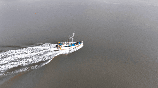 바다 위를 항해하는 어선