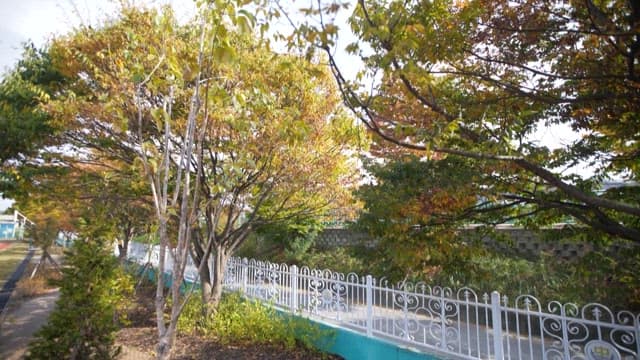 Serene park next to a white fence lined with benches and trees