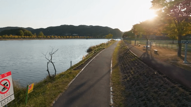 해질녘 가을 나무가 있는 강변 길