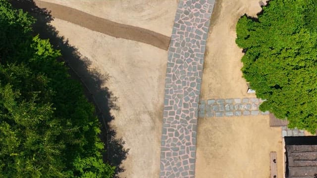 울창한 공원 길의 항공 촬영