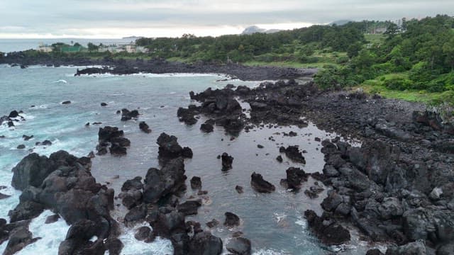 Rocky coastline with waves and greenery