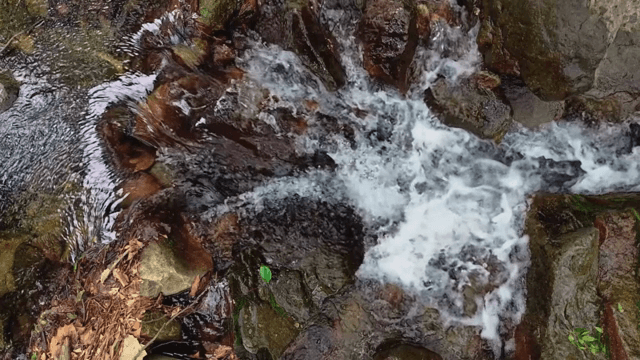 바위 위로 흐르는 물