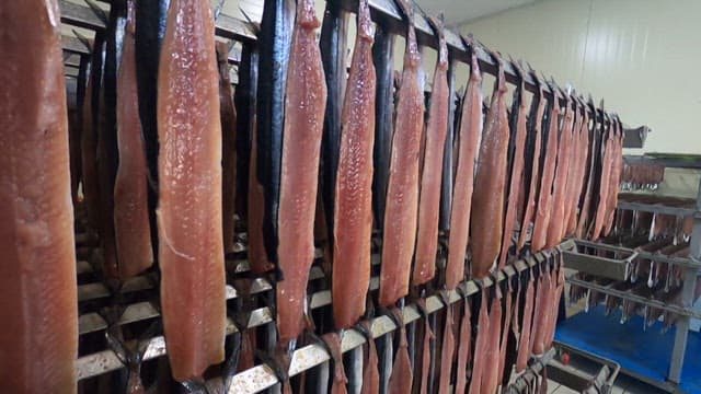 Fish being processed and hung on racks