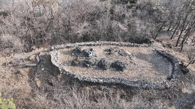 Person looking at pile of rocks in forest