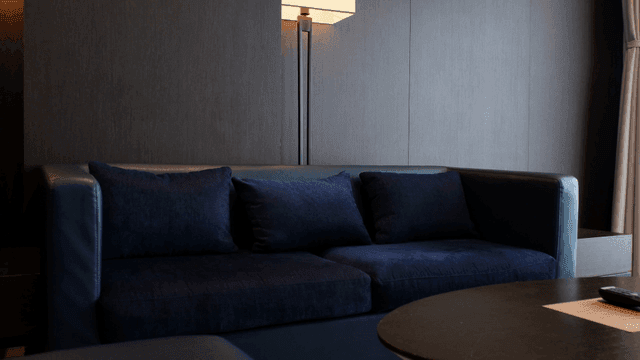 Modern living room with a dark sofa