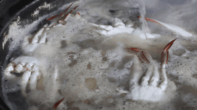 Crabs boiling in a pot with broth