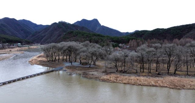 Peaceful river landscape surrounded by mountains and trees