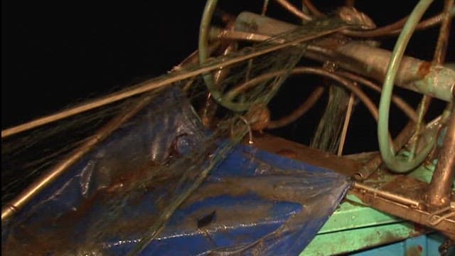 밤에 배 위에서의 어업 활동