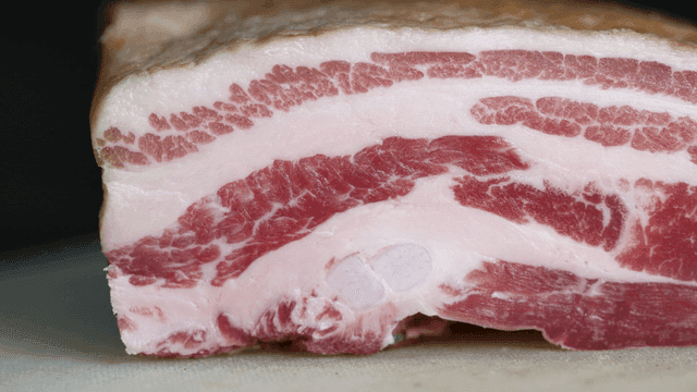 Cross-section of fresh raw pork belly