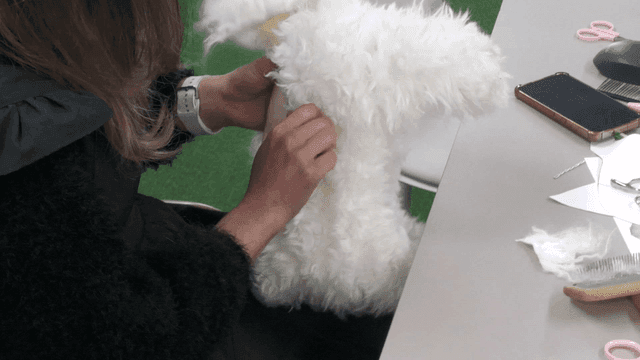 Person who crafts puppy dolls out of white wool