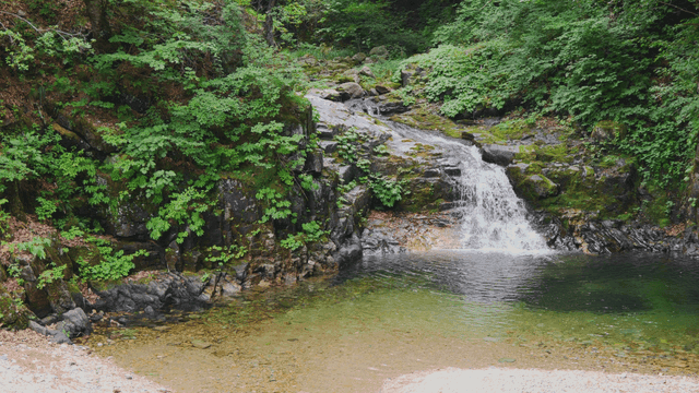 푸른 숲 속의 작은 계곡