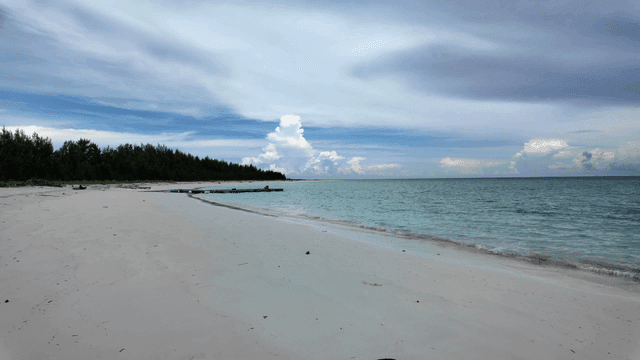 잔잔한 파도가 있는 고요한 해변