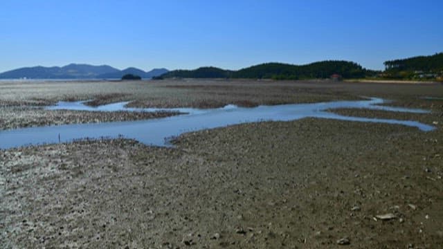 High and low tides of the quiet West Sea tidal flats