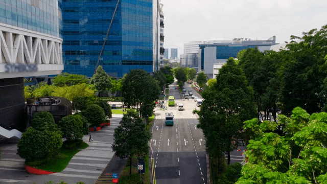 높은 건물이 있는 번화한 도시 거리