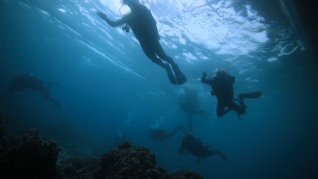 Scuba divers exploring the blue sea