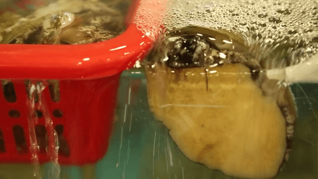 물속에서 물이 흐르는 전복