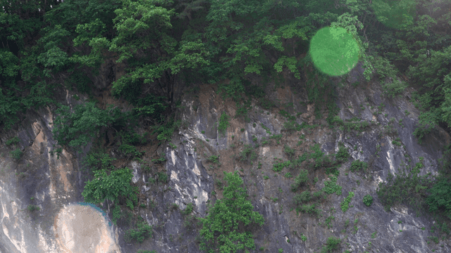 바위 절벽 위 푸른 나무 숲
