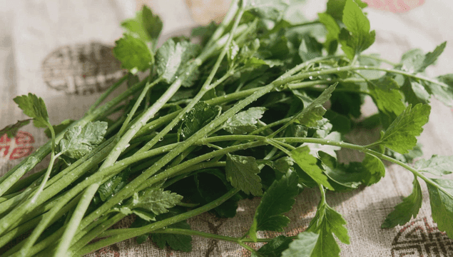 무늬가 있는 천 위의 신선한 미나리