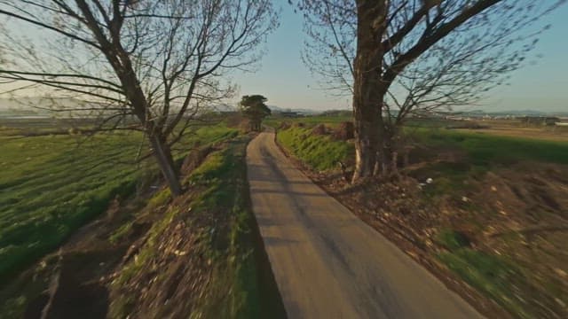 녹색 들판을 지나는 구불구불한 시골길