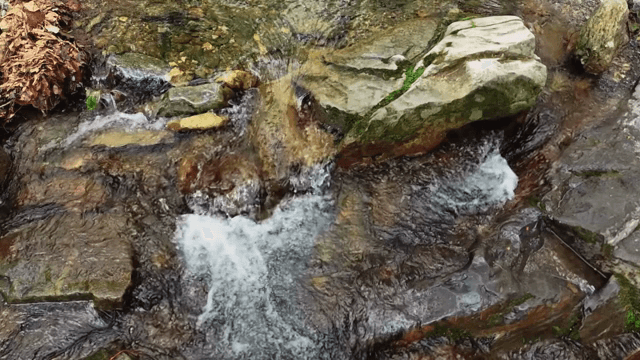 Flowing water over rocks in a stream