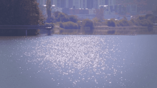 햇빛이 반짝이는 고요한 호수