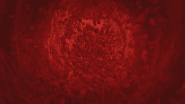 Flow of red blood cells inside a vessel