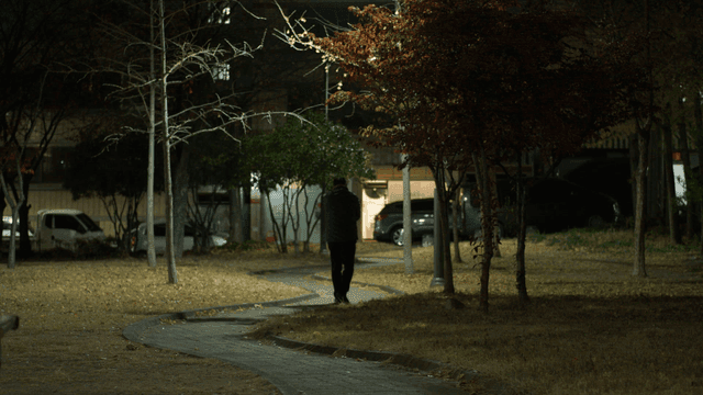 Man passing through park at night