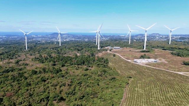 넓은 녹지에 있는 풍력 터빈