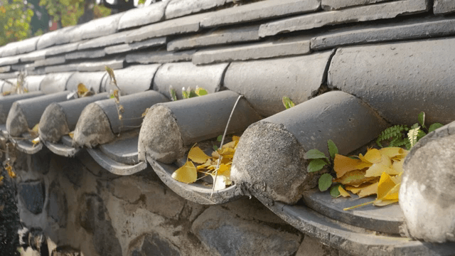 낙엽이 떨어진 전통 한국 지붕